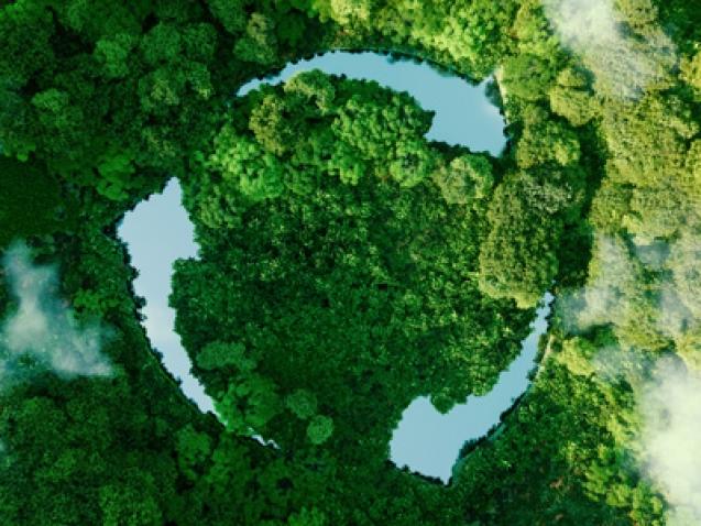 How Achieving Net Positive…